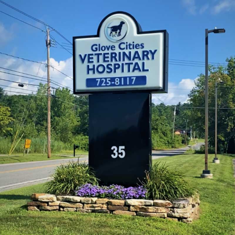 Gloversville Pet Hospital